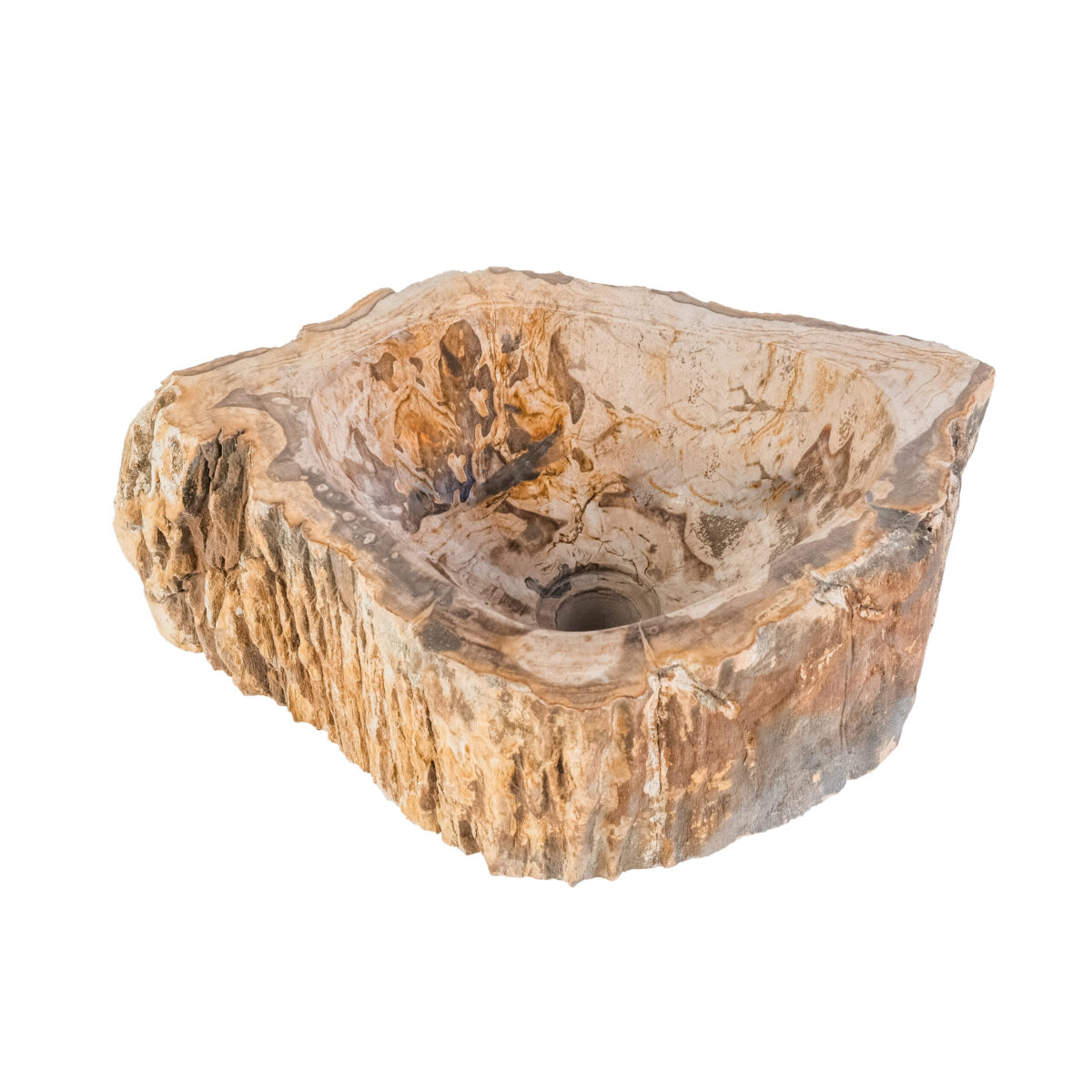 VASQUE EN BOIS FOSSILISÉ 30-35x15CM - Image 2