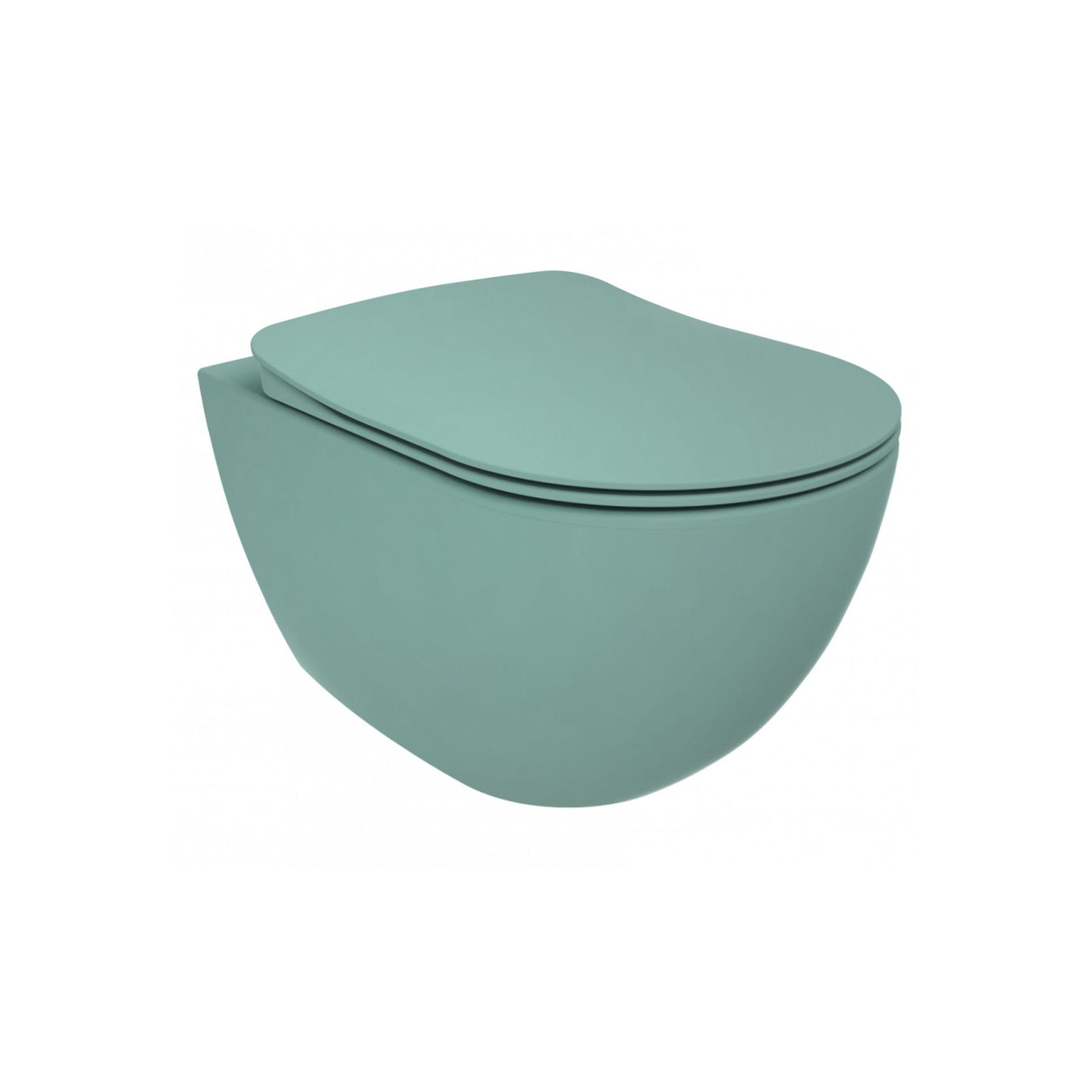 fe322-11ny00e-0000.jpg CREAVIT RIMOFF WC SUSPENDU - VERT NIL - Image 1