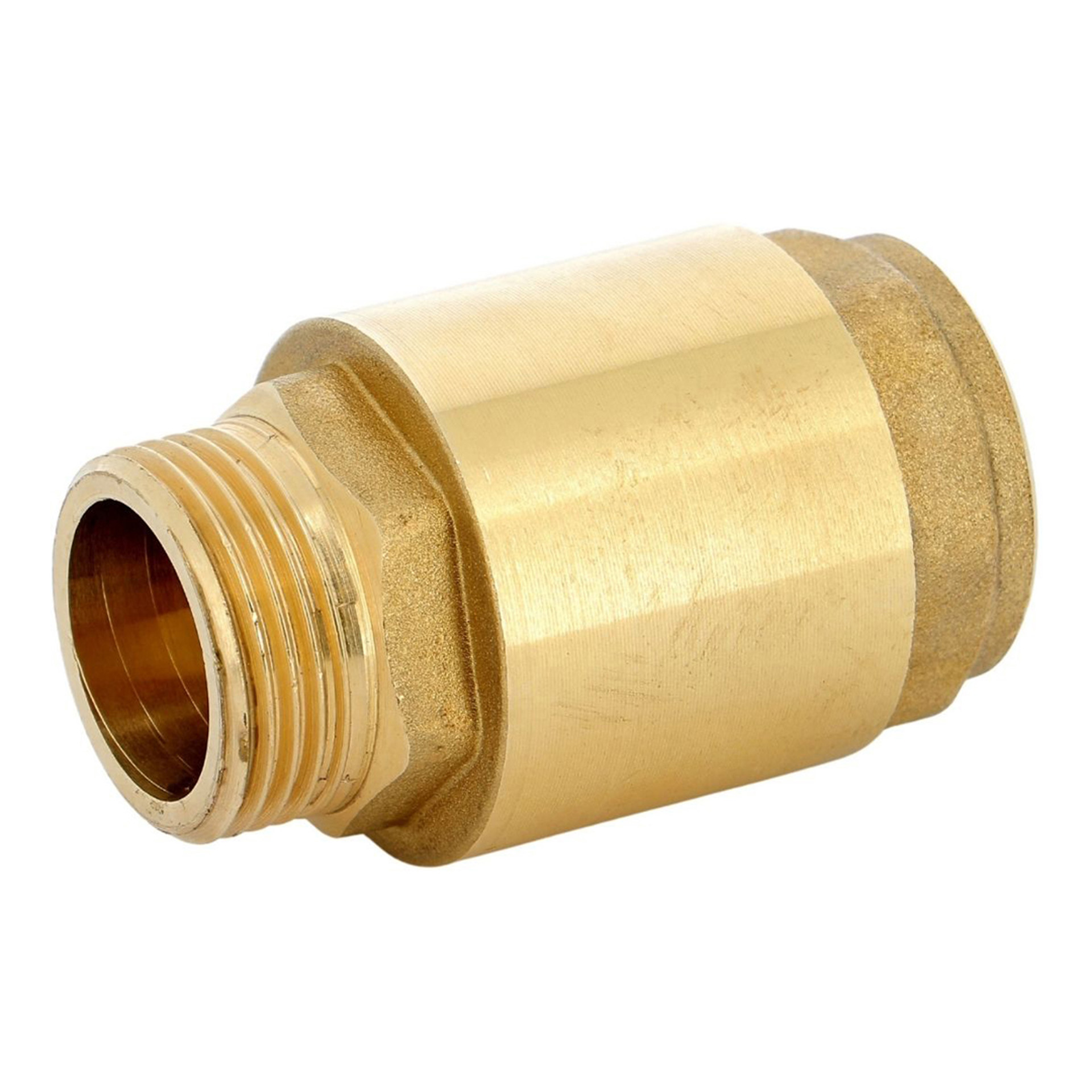 019035061f.jpg Clapet A Ressort Nylon Mf 103 1" - Afbeelding 1