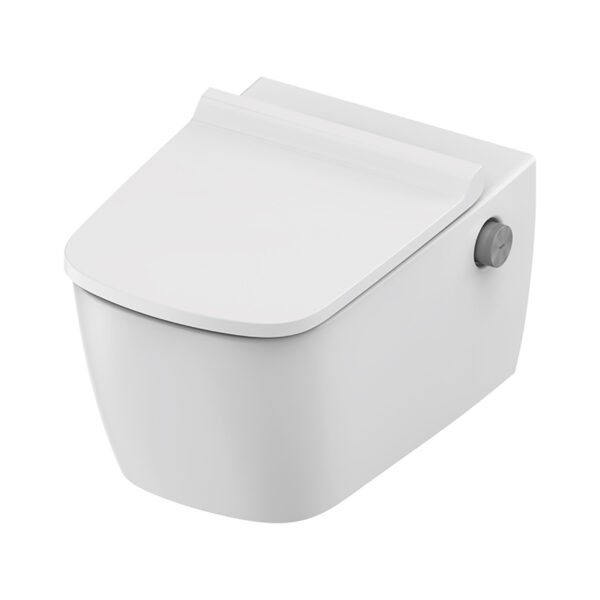 Teceneo Toilet Suspendu Avec Bidet - Avec Mitigeur De Bidet - Eau Chaude Et Froide - Avec Abattant Design Slim - 54 Cm - Blanc Brillant
