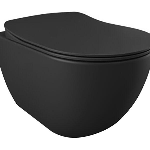 Wc Suspendu Design Gris Anthracite Mat, Avec Hygiène (Bidet) Inox