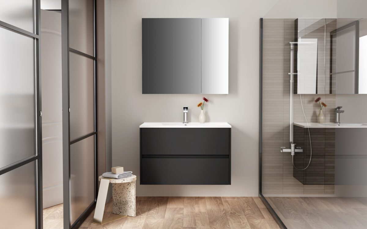 Hayat Spiegelkast - 2 Asymmetrische Enkelzijdige Spiegeldeuren - 4 In Hoogte Verstelbare Planken - 80x70x15cm - Mat Zwart - Afbeelding 4